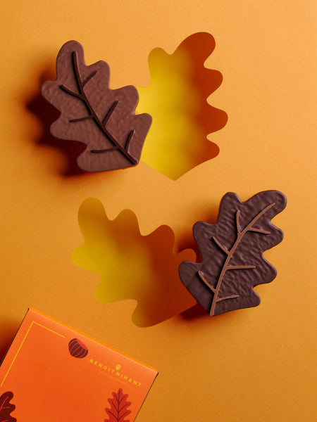 Feuille d'Automne noire