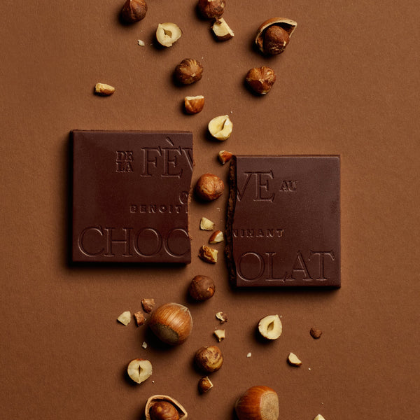 Tablette de chocolat noir fourrée de praliné noisettes et fleur de sel