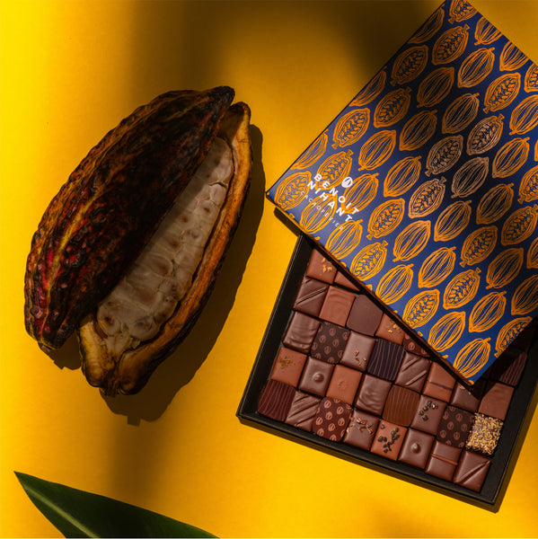 Coffret 56 - Mucilage
