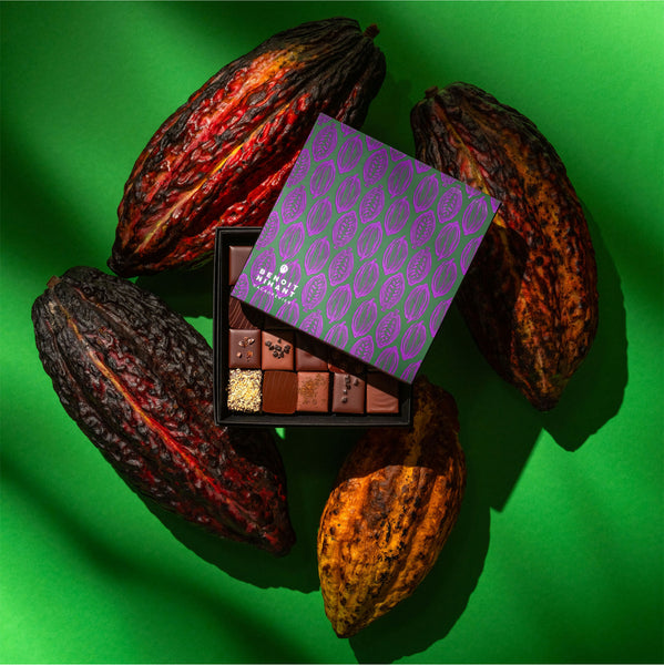 Coffret 20 - Mucilage